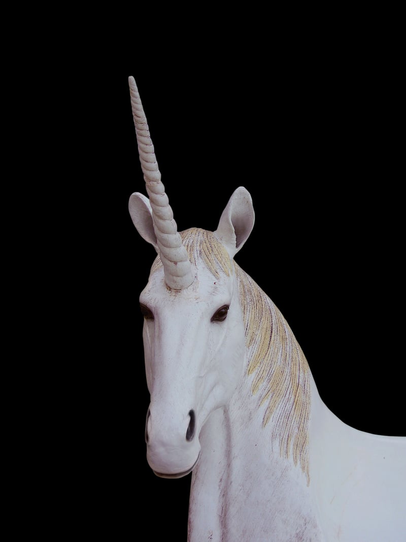 Unicorn Wonderland